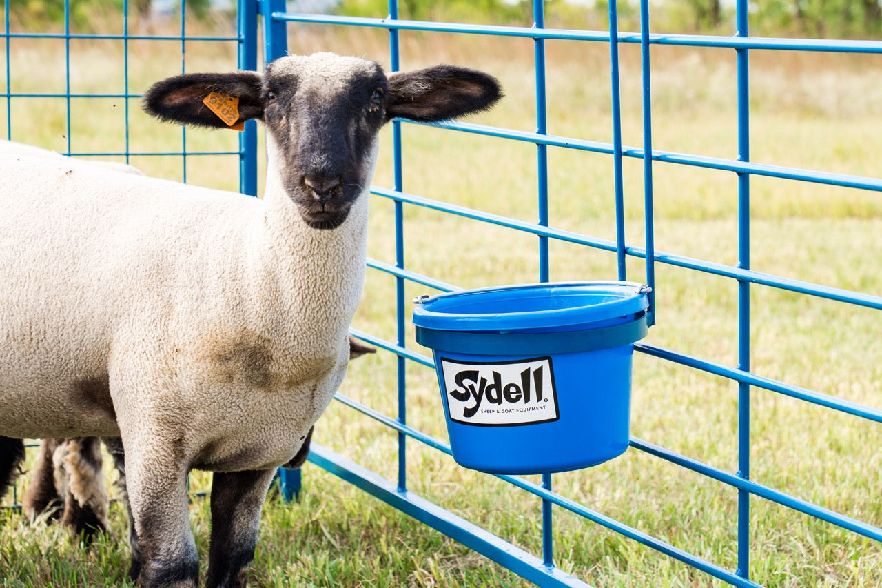 Sydell Deluxe Pail Bracket – 10" Diameter Bucket Holder for Sheep, Goats & Small Livestock | Items #0236 / #0237 / #0238 installed in barn layout fo
