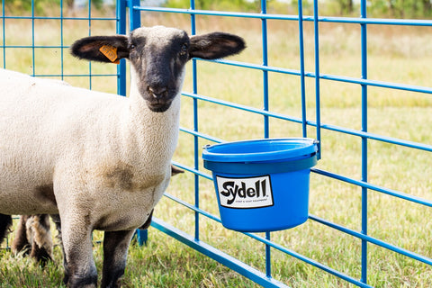 pailbucket-sydell-sheep-goat-farm-handling-equipment-feeder-pailbracket-pailholder