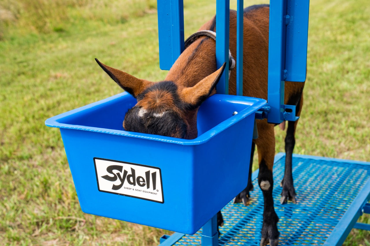 Box Feeder (1024B) sheep and goat hay feeder for livestock handling and animal flow