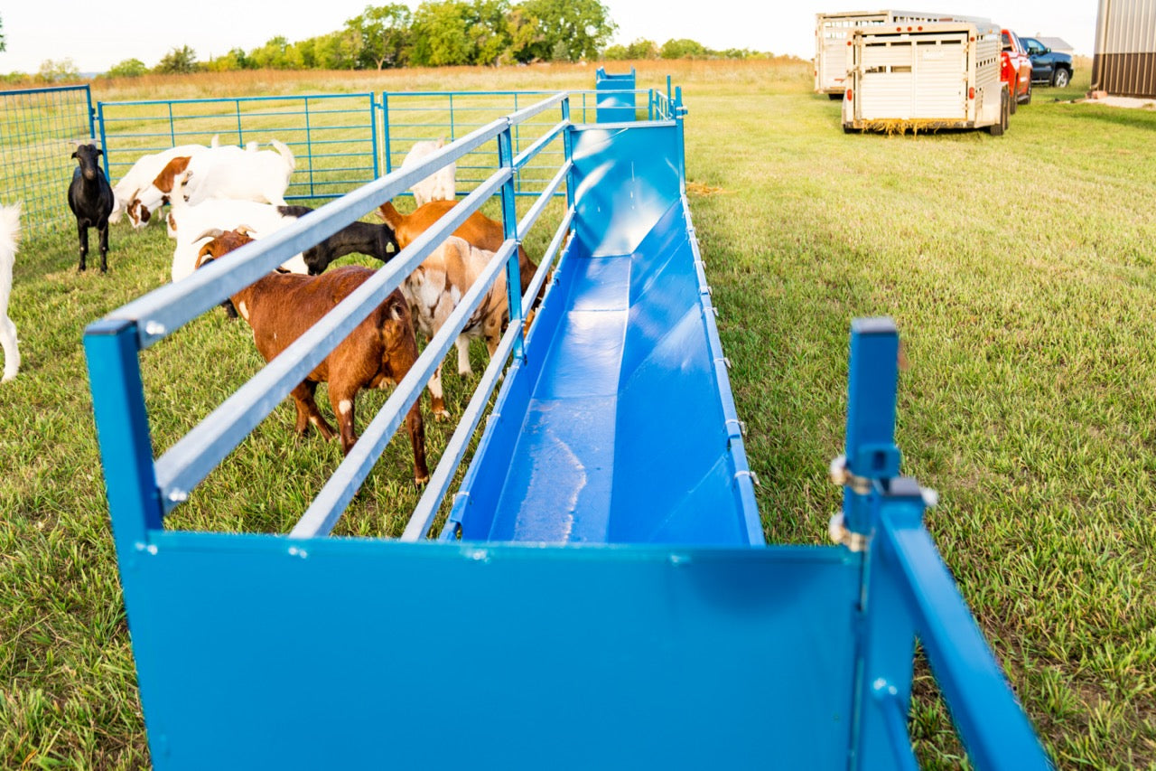 Add-on Horizonal Fenceline Feeders (816HP/818HP) sheep and goat grain feeder for livestock handling and animal flow
