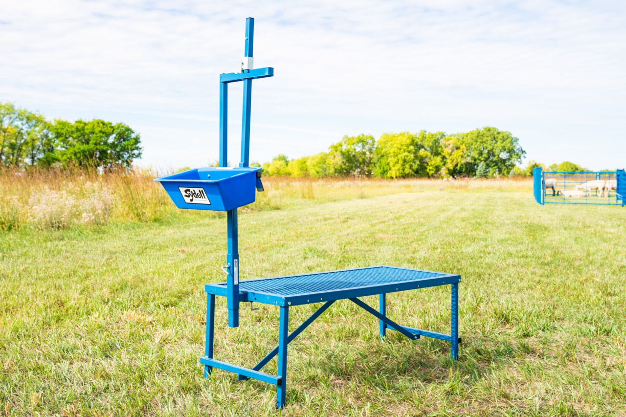Sheep and goat feeding system setup designed for safer handling and routine management