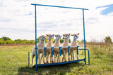 Sydell goat and sheep 5-head show rail with stand and sign holder