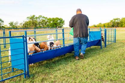 Sheep and goat bale feeder setup designed for safer handling and routine management