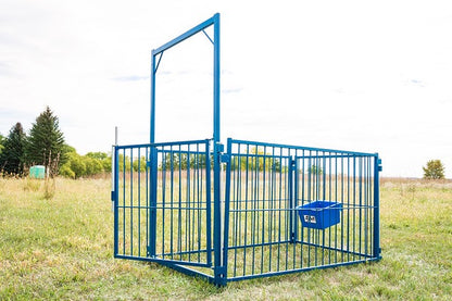 4' Arched Walk-Thru Gate (941) installed in barn layout for efficient sheep and goat handling