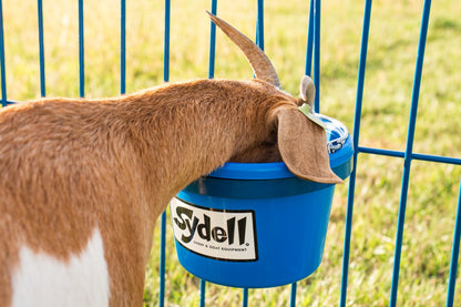 Detail view of livestock equipment connection and adjustable components for sheep and goats