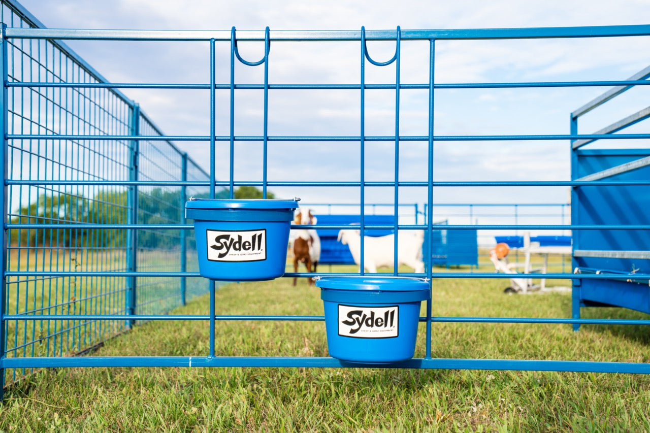 Barn system used for hoof trimming, sorting and controlled livestock movement