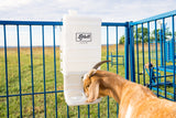 Sydell poly mineral feeder for goat and sheep 