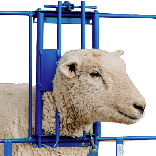 Ewe Headlock for 400 Panels for Sheep & Goats | Sydell #0490