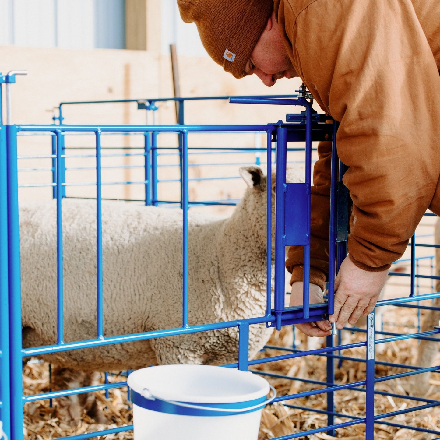 Ewe Headlock for 400 Panels for Sheep & Goats | Sydell #0490