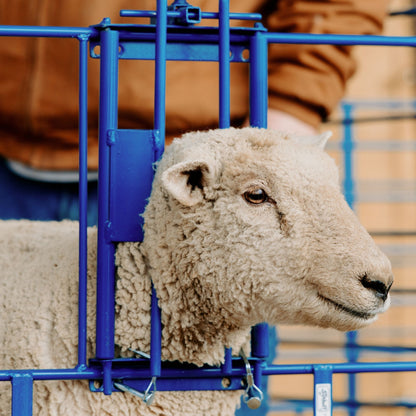 Ewe Headlock for 400 Panels for Sheep & Goats | Sydell #0490