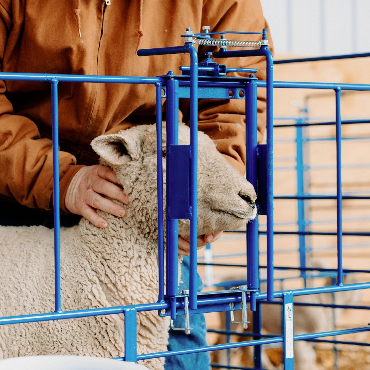 Ewe Headlock for 400 Panels for Sheep & Goats | Sydell #0490