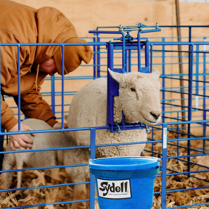 Ewe Headlock for 400 Panels for Sheep & Goats | Sydell #0490
