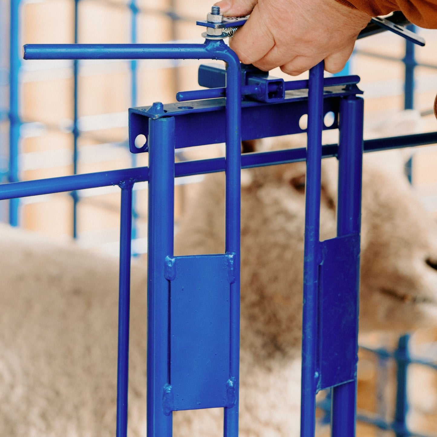 Ewe Headlock for 400 Panels for Sheep & Goats | Sydell #0490