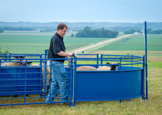 8' Slide/Swing Gate for Corral Working System Tub for Sheep & Goats | Sydell #0943-8 / #0943-8-G