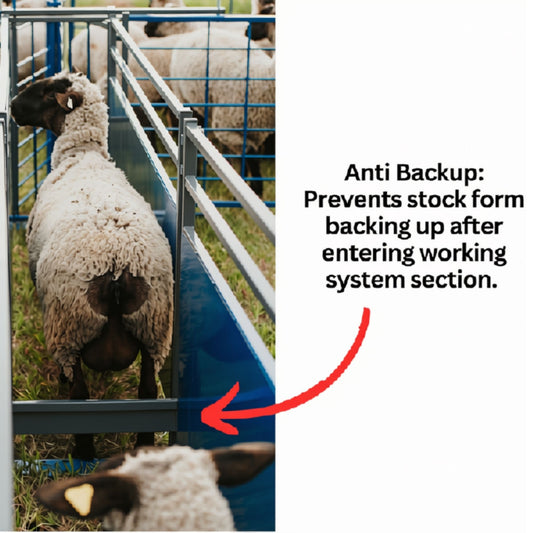 Anti-Backup for Sheep & Goats | Sydell #0965 / #0965-G