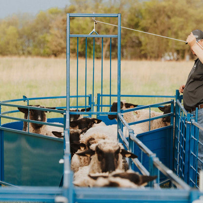 Complete Corral Working System D for Sheep & Goats | Sydell #0994