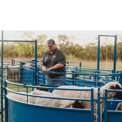 Complete Corral Working System B for Sheep & Goats | Sydell #0992