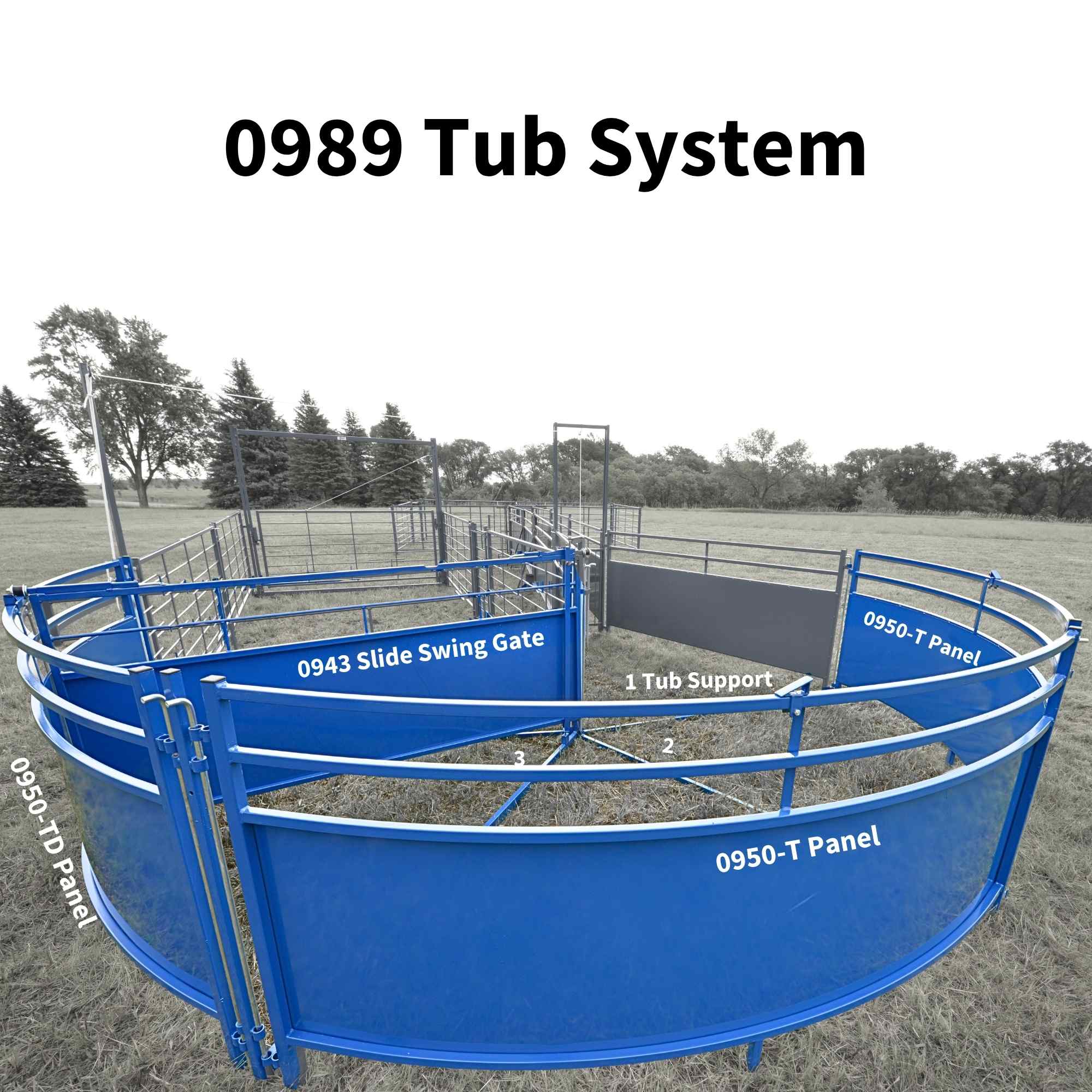 Sheep & Goat Working Stock Equipment | Handling & Management