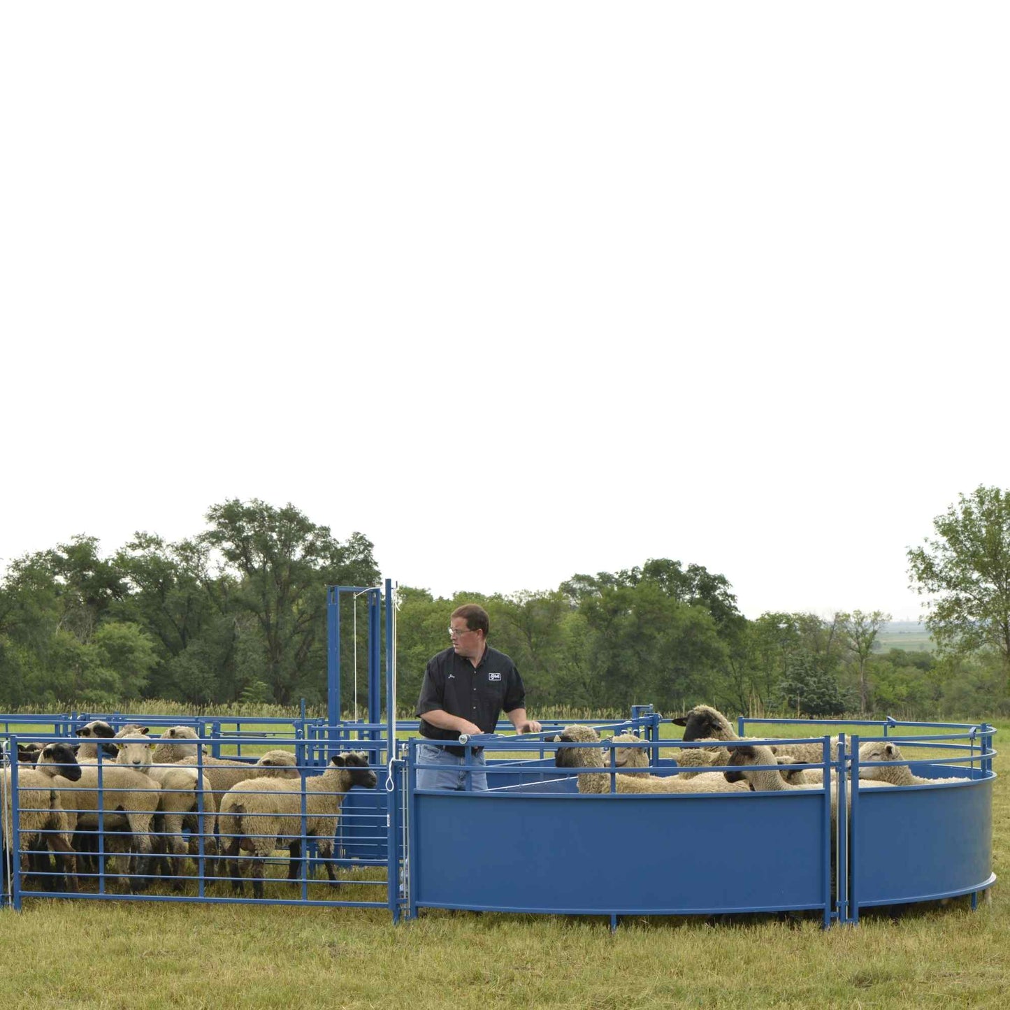 Tub for Corral Working System for Sheep & Goats | Sydell #0989TUB