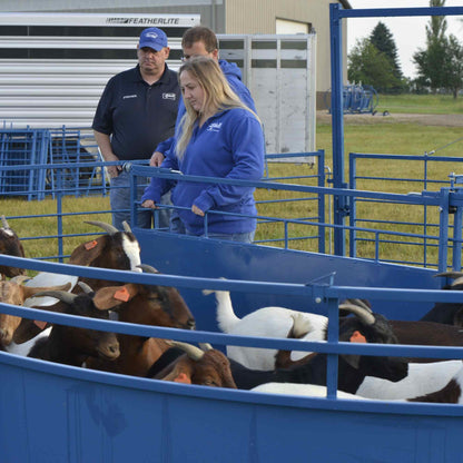 Complete Corral Working System B for Sheep & Goats | Sydell #0992