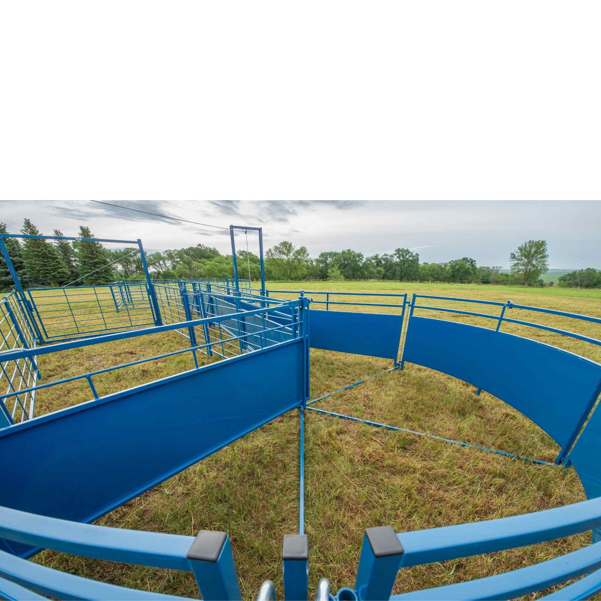 Sheep & Goat Working Stock Equipment | Handling & Management