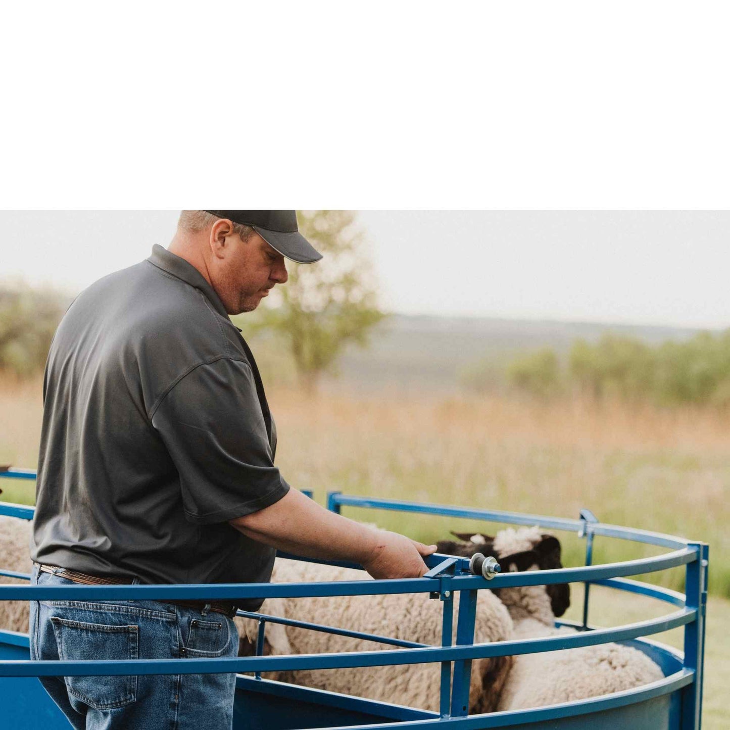 Tub Only for Corral Systems 0994TUB for Sheep & Goats | Sydell #0994TUB