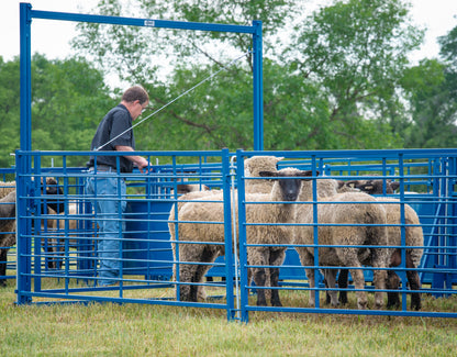 Arched 8' Swing Gate for Sheep & Goats | Sydell #0942-8 / #0942-8-G