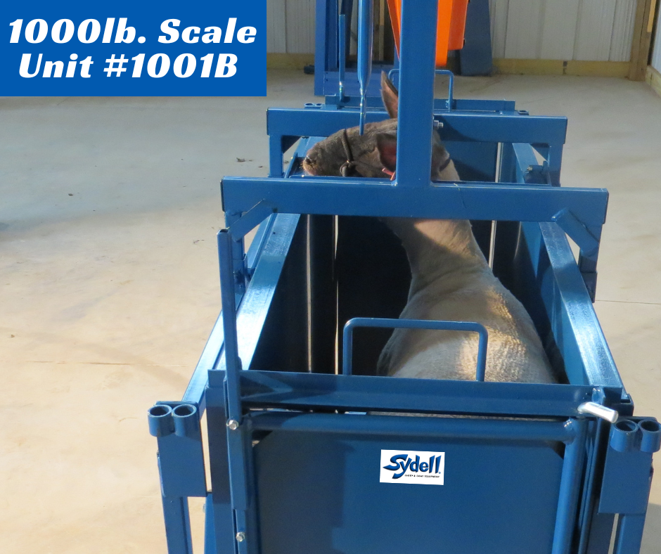 Detail view of livestock equipment connection and adjustable components for sheep and goats