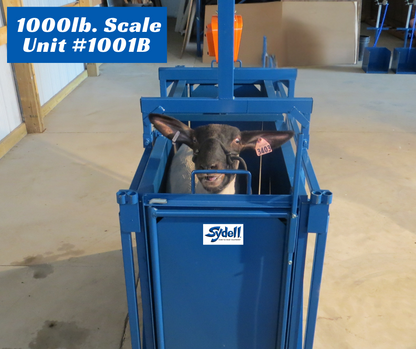 1000 lb. Electronic Livestock Scale w/Cage & End Gates (1001B) installed in barn layout for efficient sheep and goat handling