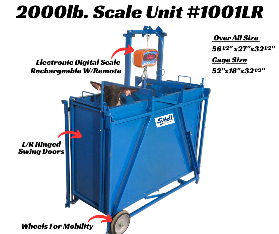 Barn system used for hoof trimming, sorting and controlled livestock movement