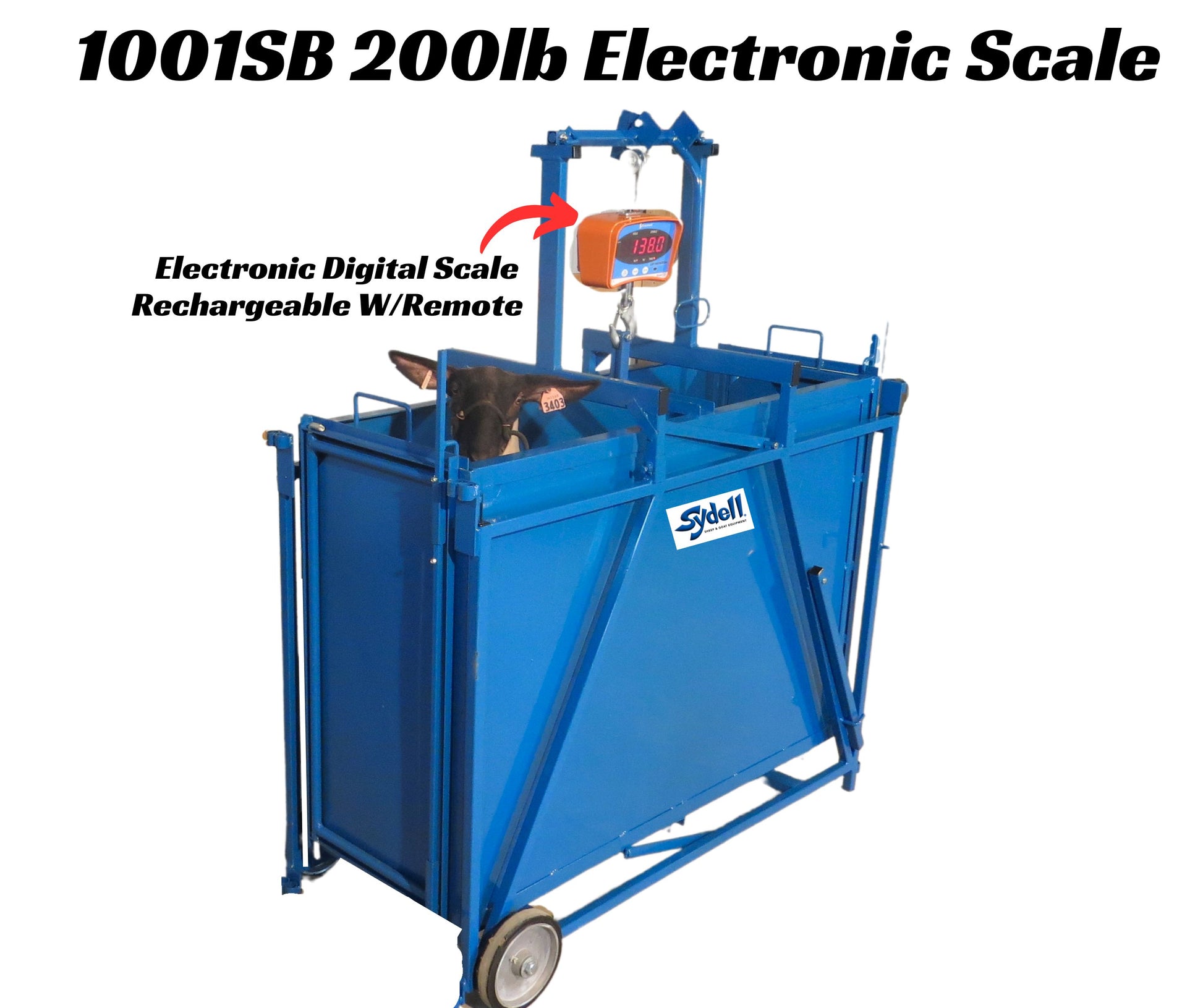 2000 lb. Electronic Livestock Scale 1001SB sheep and goat livestock equipment for livestock handling and animal flow