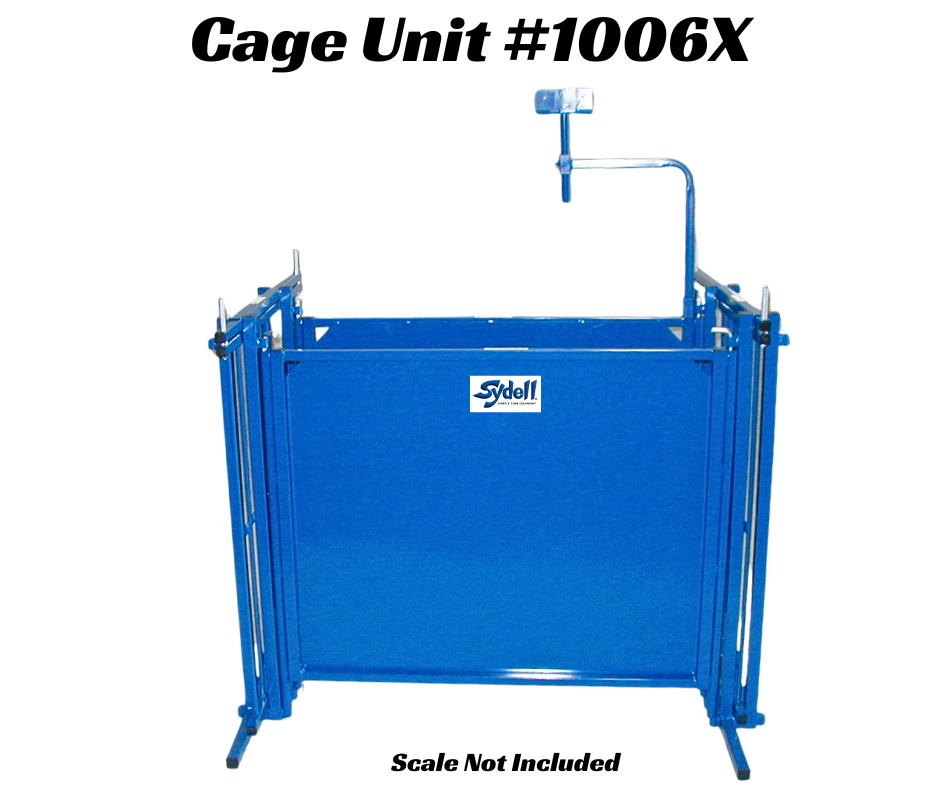 Sheep and goat handling equipment setup designed for safer handling and routine management