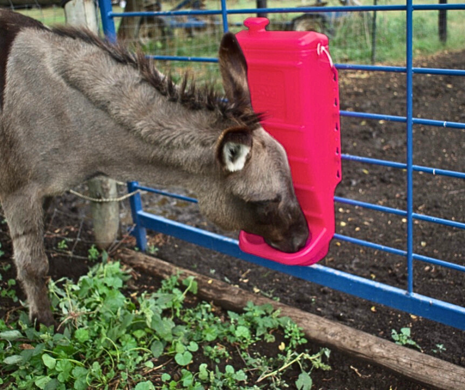 Pink Mineral & Grain Feeder #1012