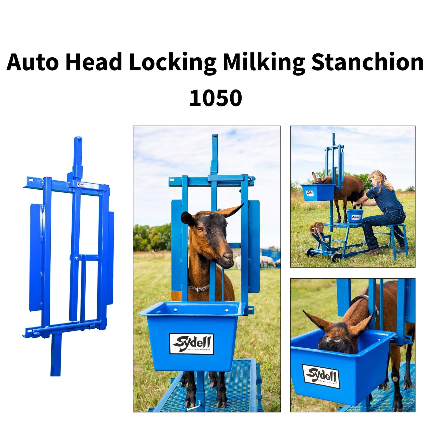 Milking Stanchion Only for Sheep & Goats | Sydell #1050