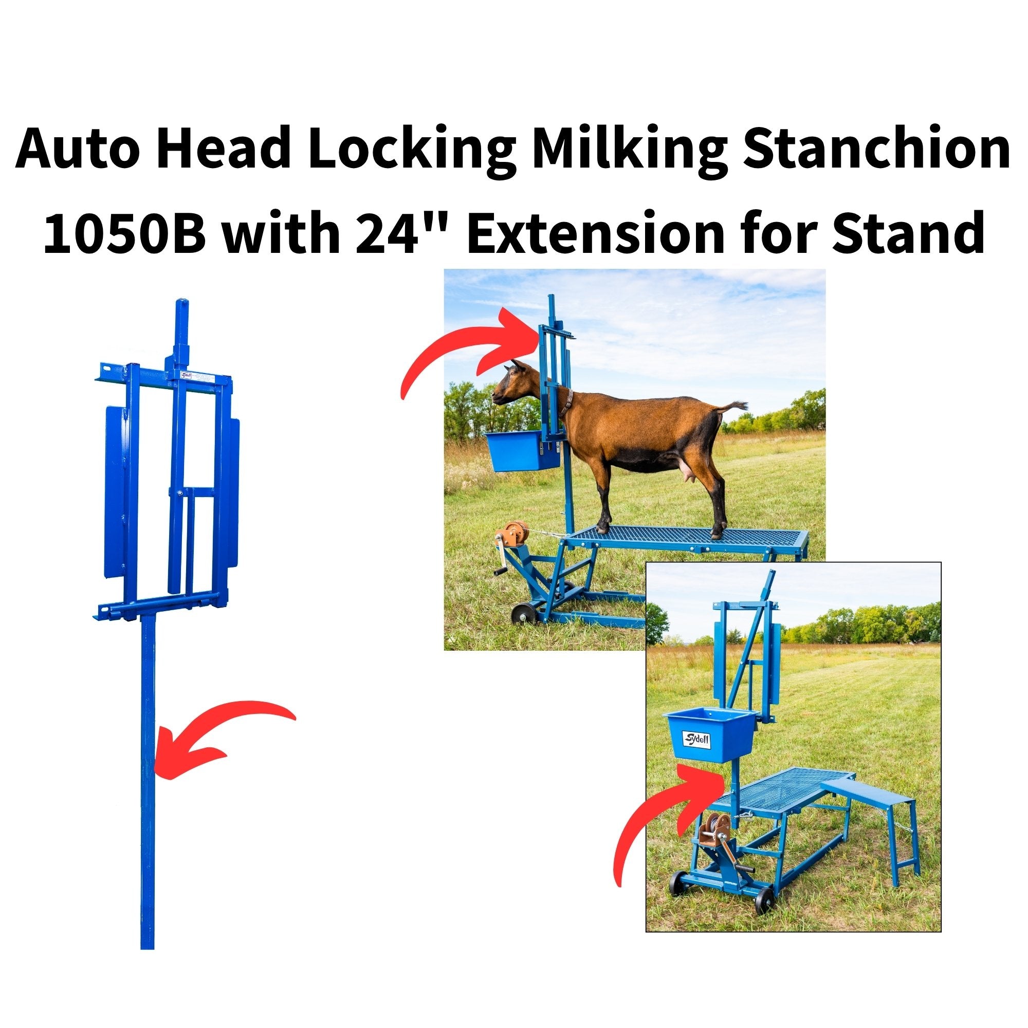 Sheep & Goat Milking Equipment | Milking Stanchions & Stands