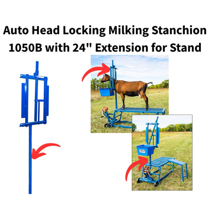 Auto Head Locking Milking Stanchion 1050B with 24" Extension for Stand for Sheep & Goats | Sydell #1050B