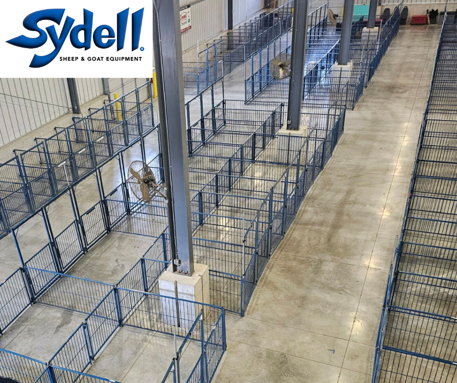 Sydell Multi-Species Livestock Vertical Fair Show Pen Panels - for Sheep, Goats, Pigs & More | 4', 5' & 6' Widths | Additional Sizes & Galvanizing A