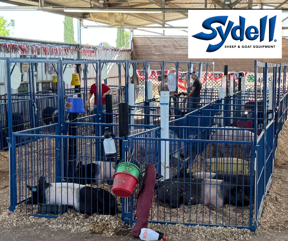 Sydell Multi-Species Livestock Arched Front Gates for Fair Show Pens - for Sheep, Goats, Pigs & More | 4', 5' & 6' Widths | Galvanizing Available in