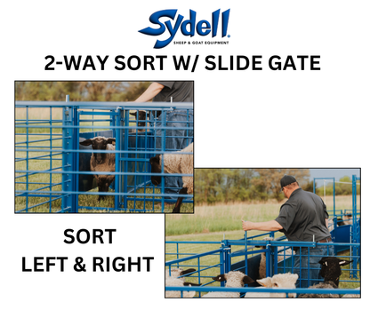 2-Way Sort gate for Sheep & Goats | Sydell #0920B / #0920B-G