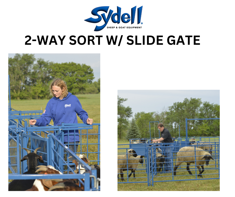 2-Way Sort gate for Sheep & Goats | Sydell #0920B / #0920B-G