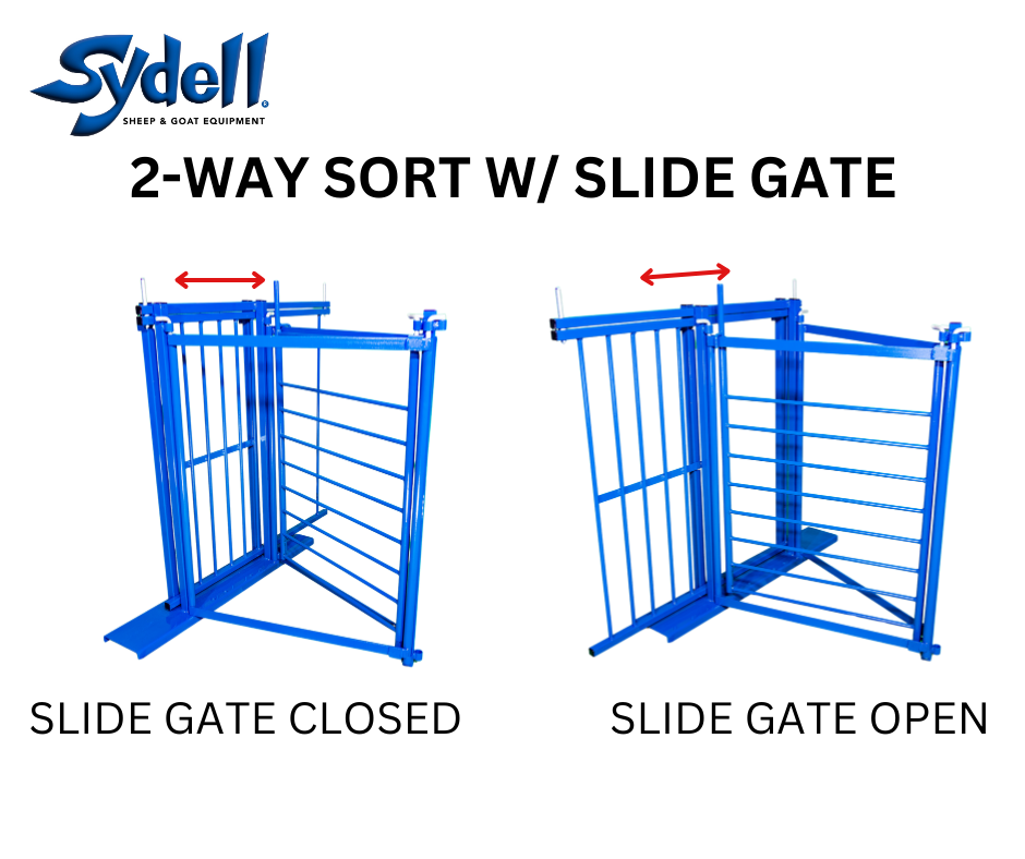 2-Way Sort gate for Sheep & Goats | Sydell #0920B / #0920B-G