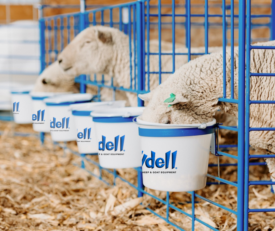Panel system used for hoof trimming, sorting and controlled livestock movement