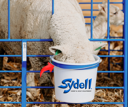 Detail view of livestock equipment connection and adjustable components for sheep and goats