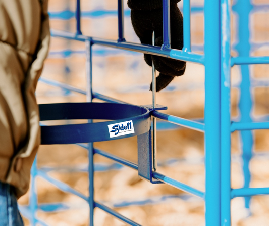 Sheep and goat handling equipment setup designed for safer handling and routine management