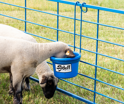 Heavy Duty Pail (223) sheep and goat livestock equipment for livestock handling and animal flow