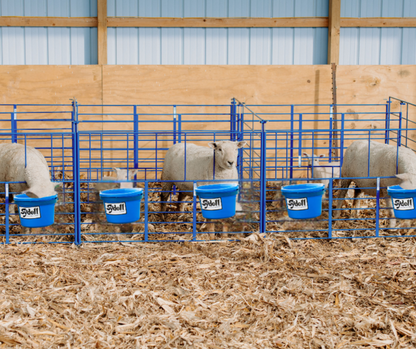 Detail view of livestock equipment connection and adjustable components for sheep and goats
