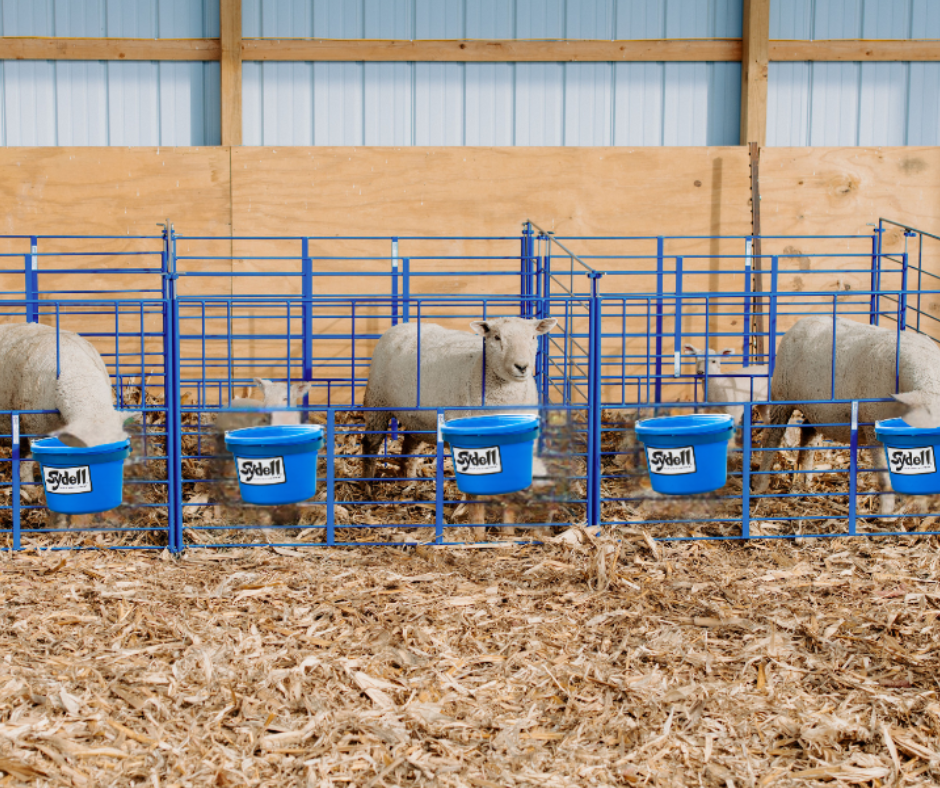10” Dia. Pail Bracket (220) sheep and goat handling equipment for livestock handling and animal flow