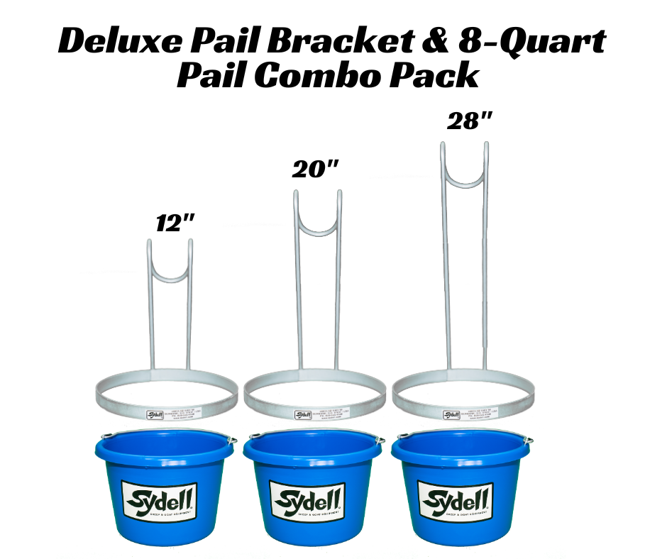 Sheep and goat handling equipment setup designed for safer handling and routine management