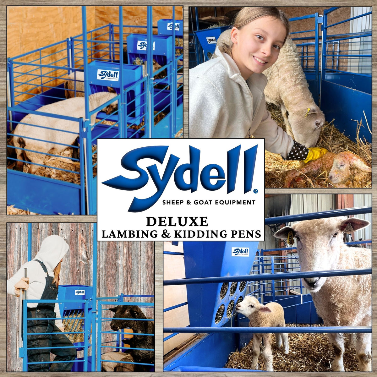 A collage of five photos showing blue Sydell sheep and goat equipment pens in use with sheep, goats, and a young girl. A large central logo reads 'Sydell Sheep & Goat Equipment' and 'Deluxe Lambing & Kidding Pens.