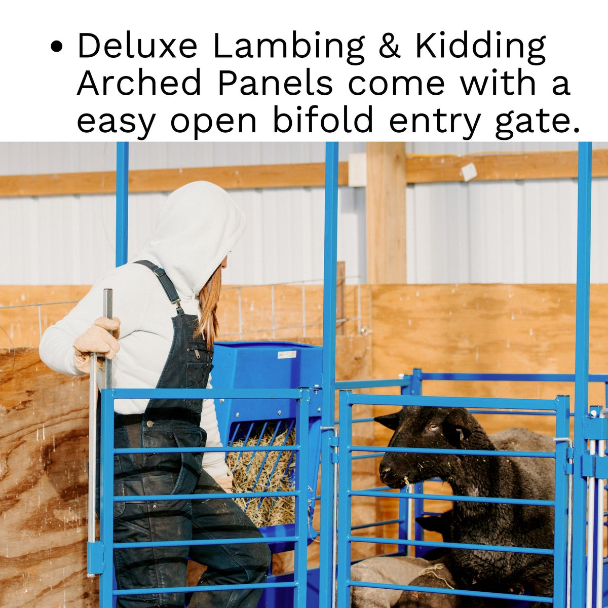 The Deluxe Arched Front Gate is designed for convenient everyday access during busy lambing and kidding seasons.

Bidirectional door swings in either direction
Extended 5 in handle provides an easy grip
Easier to operate while wearing work or winter gloves
Provides convenient access for feeding, bedding, observation, and newborn care
Helps producers enter and exit pens efficiently while working around ewes, does, lambs, and kids